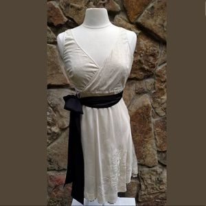 Anthropologie Viola Dress 2 Embroidered Ivory